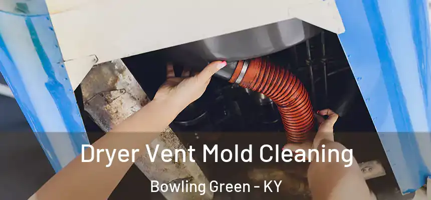  Dryer Vent Mold Cleaning Bowling Green - KY