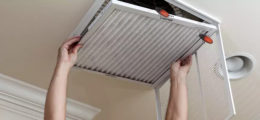 Preventive Cockroach-Proofing for Ducts in Bowling Green
