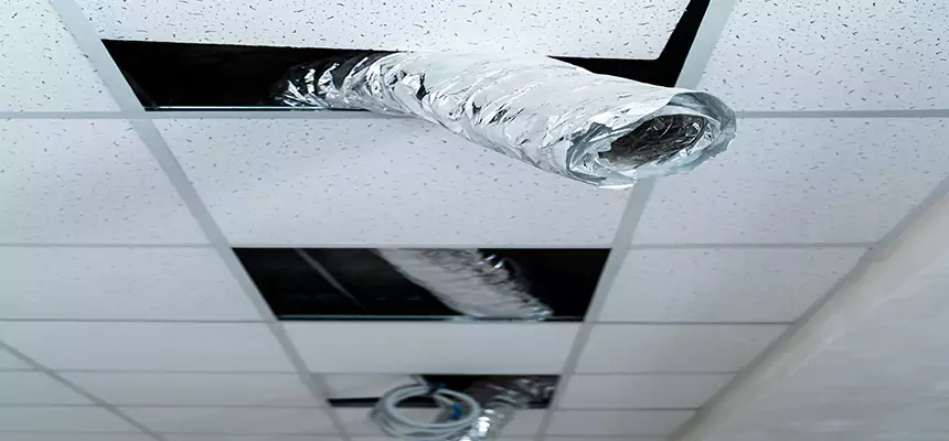 Our Air Duct Pet Hair Removal Services in Bowling Green, KY