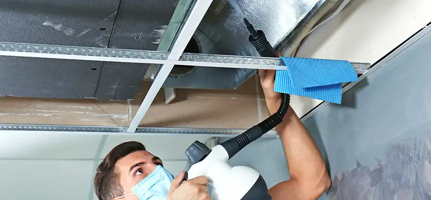 Our Air Duct Rodent Removal Services in Bowling Green, KY