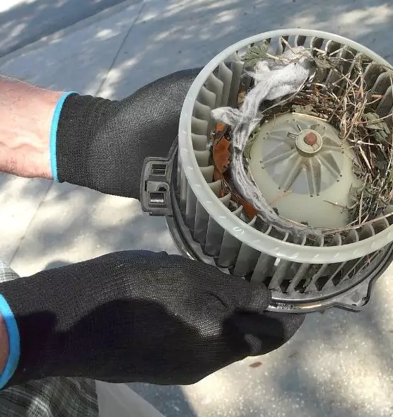 About Air Duct Mice Removal in Bowling Green, KY