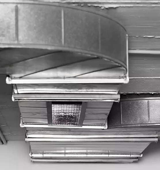 Professional Air Duct Pest Removal in Bowling Green, KY