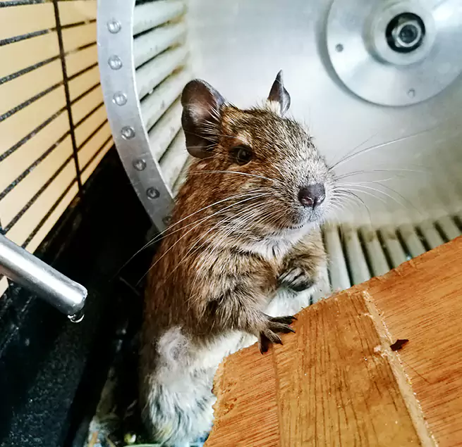 Why Homeowners & Businesses Trust Us Bowling Green, KY?