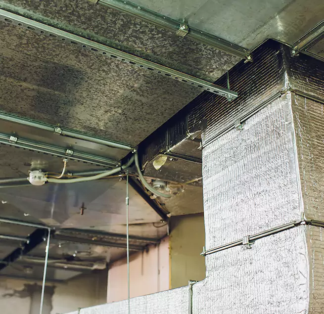 Why Homeowners & Businesses Trust Us in Bowling Green, KY?